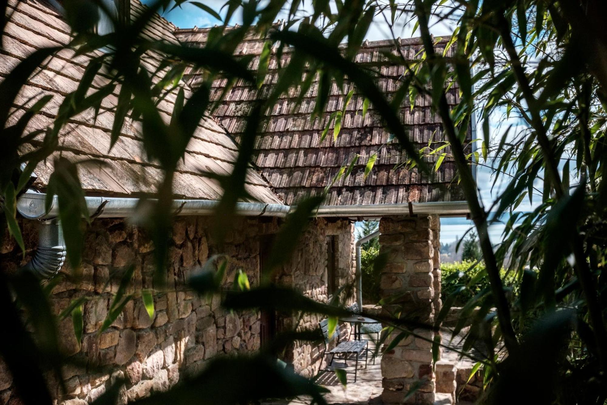 Vila Abrahamhegyi Panorama Hideout Exteriér fotografie