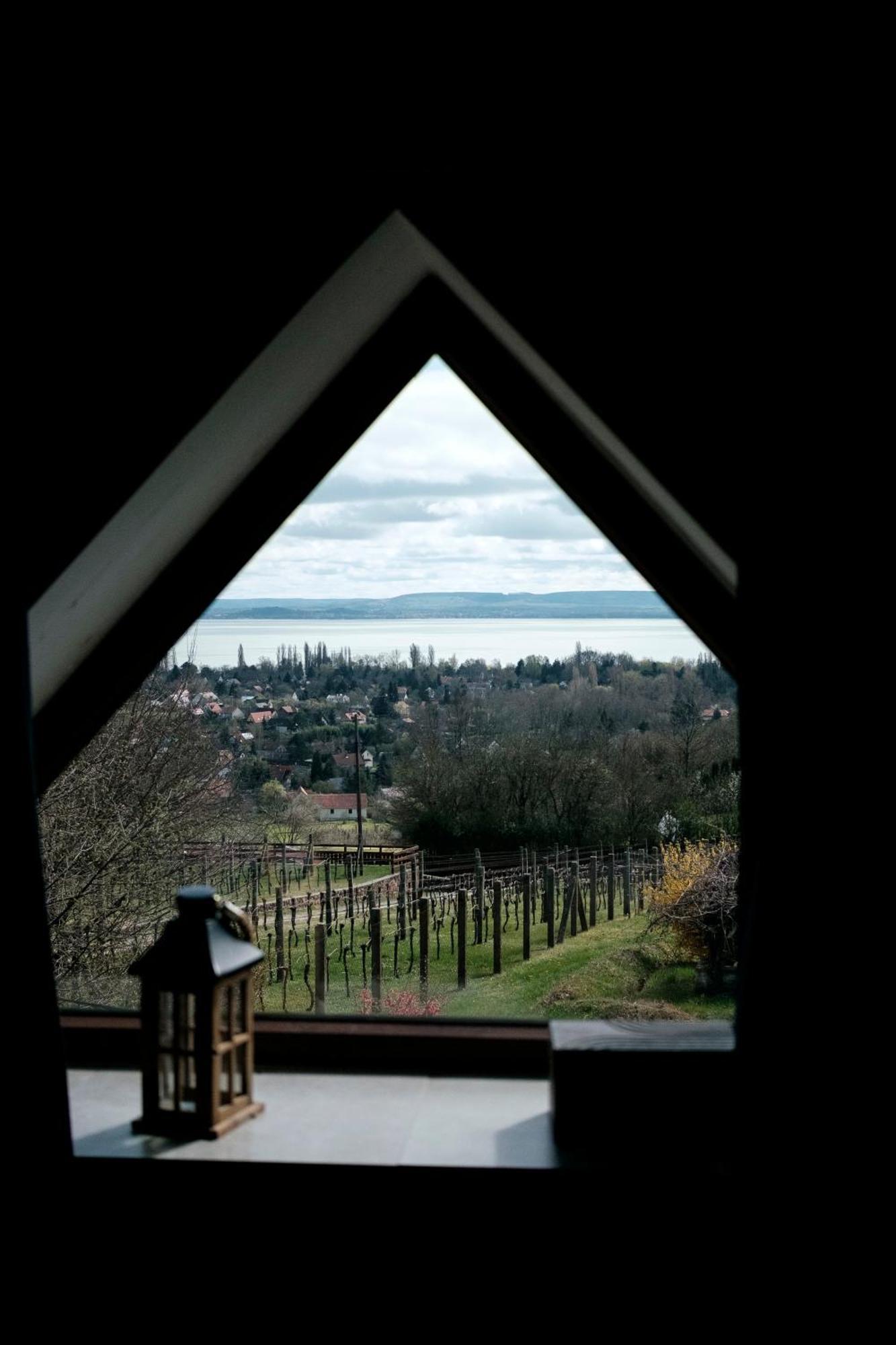 Vila Abrahamhegyi Panorama Hideout Exteriér fotografie